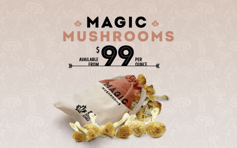 Magic Mushroom Dosage