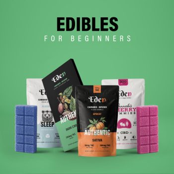 edibles for beginners bundle