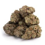 purple haze strain 5 buds