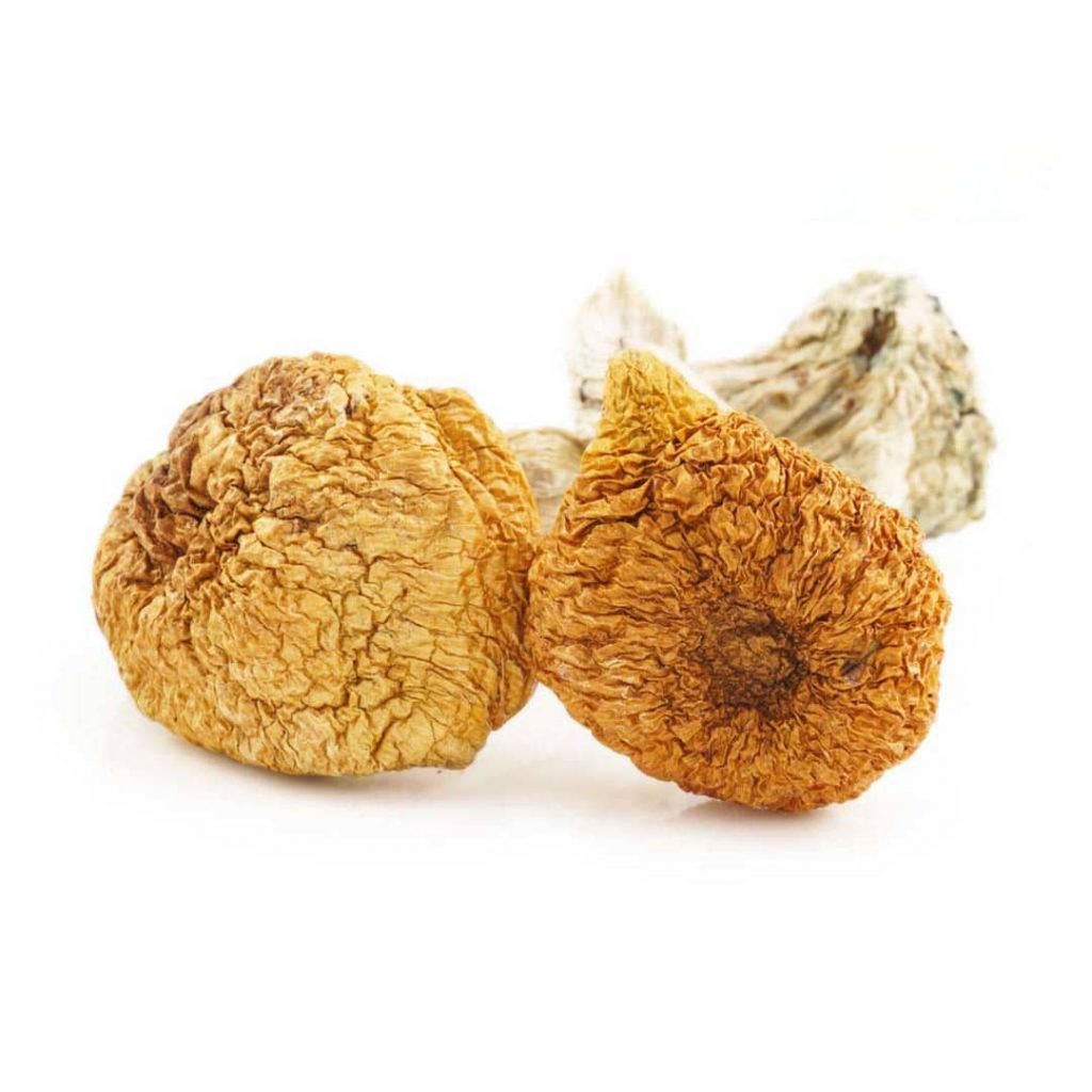 b+ magic mushroom canada