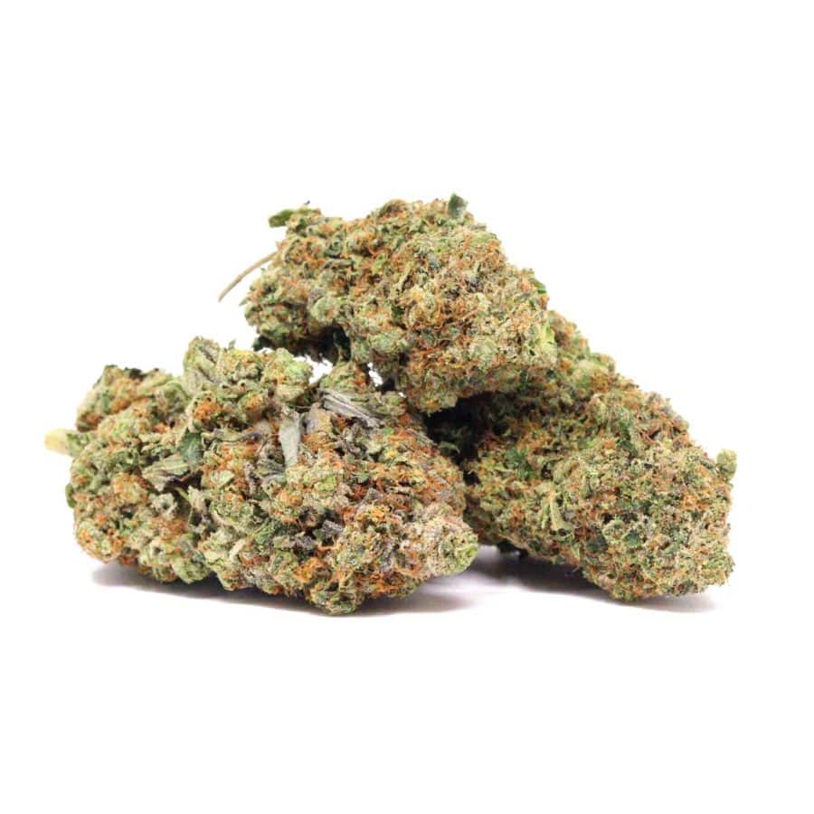 purple-lightning-strain purple lighning 3 buds