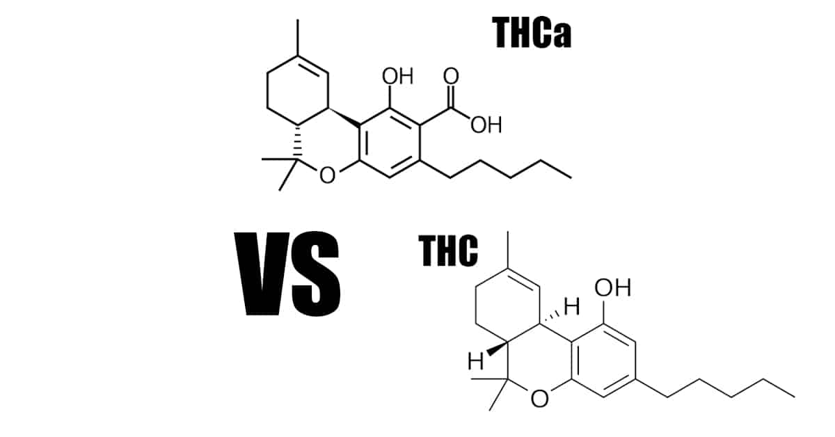 thca-vs-thca-cannabinoid-explained thca vs thc decarb