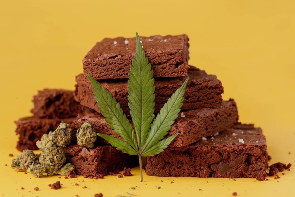weed brownie with cannabis leaf and dried marijuana flowers