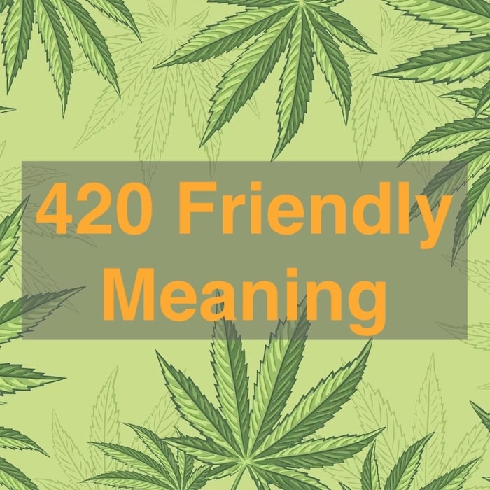 420 Friendly Meaning