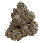 AAAA+ Dark Matter (Kootenay Exotics)