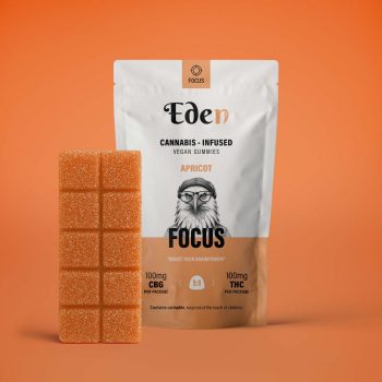 Focus - 1:1 CBG Gummies