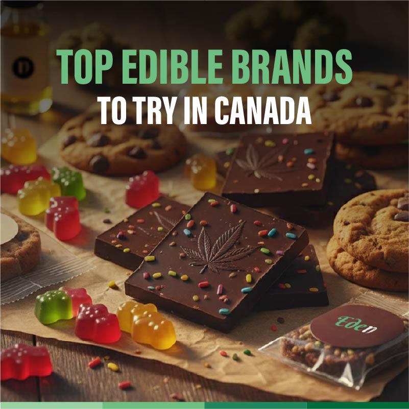 best edible brand canada