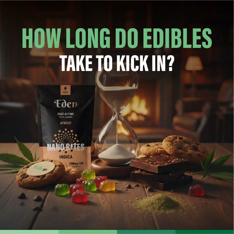 How Long Do Edibles Take to Kick In?